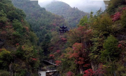 腰市江山景區(qū)招聘,需要找工作的看過來