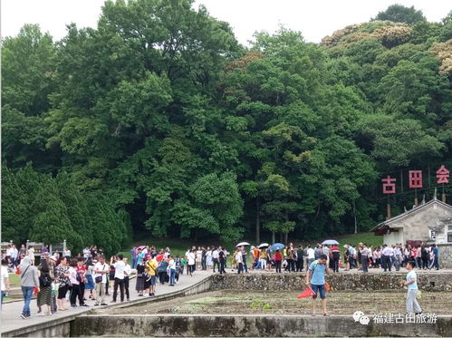 古田旅游區提升景區品質,五一人氣火爆,廣受歡迎