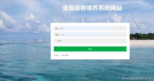 流浪動物領養系統網站設計與實現