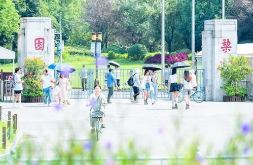 中秋國(guó)慶假期江城四大景區(qū)將實(shí)行圈層管理